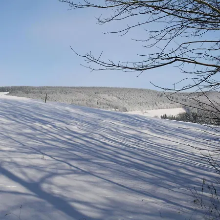 Modern In Titmaringhausen Sauerland Near Ski Area *